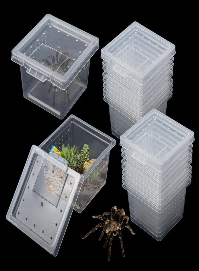 Klmnop 20 Pcs Spider Terrariums Breeding Box, Small Hatching Container for Reptile, Clear Spider Cage with Lid(Clear) - Image 1